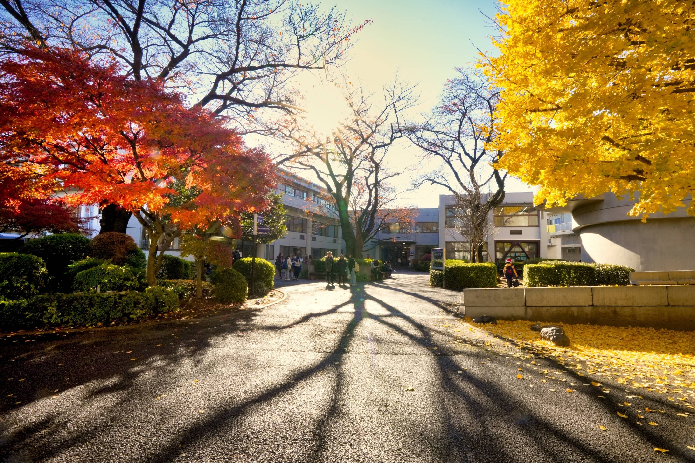 Christian Academy in Japan (CAJ)の校舎・キャンパス外観