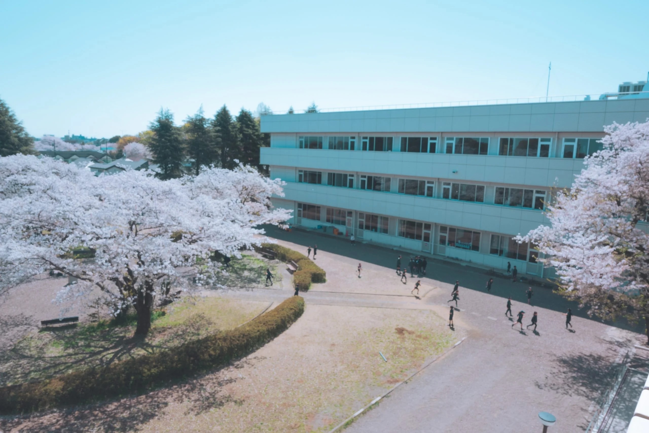 Malvern College Tokyoの校舎・キャンパス外観
