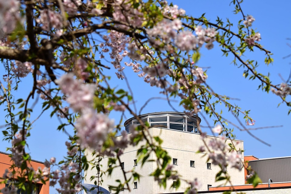 Tohoku International Schoolの校舎・キャンパス外観